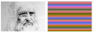 Leonardo da Vinci